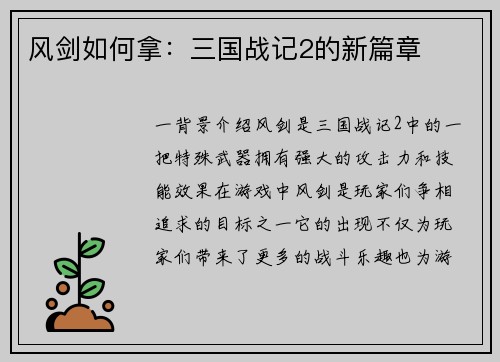 风剑如何拿：三国战记2的新篇章