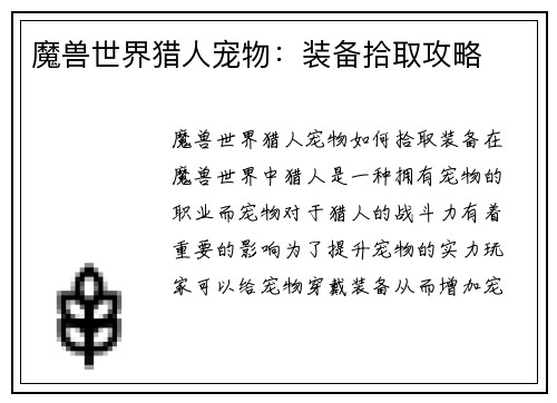 魔兽世界猎人宠物：装备拾取攻略
